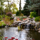 Pond Equipment