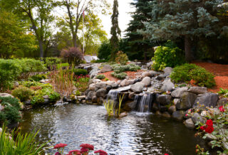 Pond Equipment