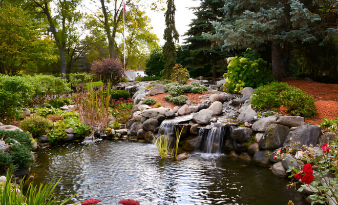 Pond Equipment